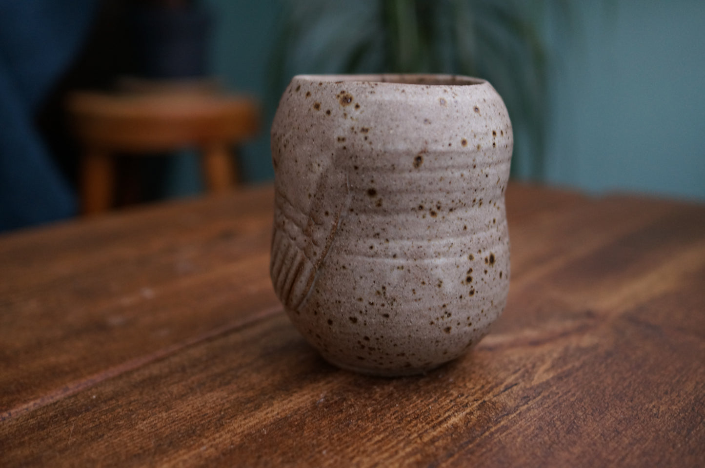Snowy Owl Cup