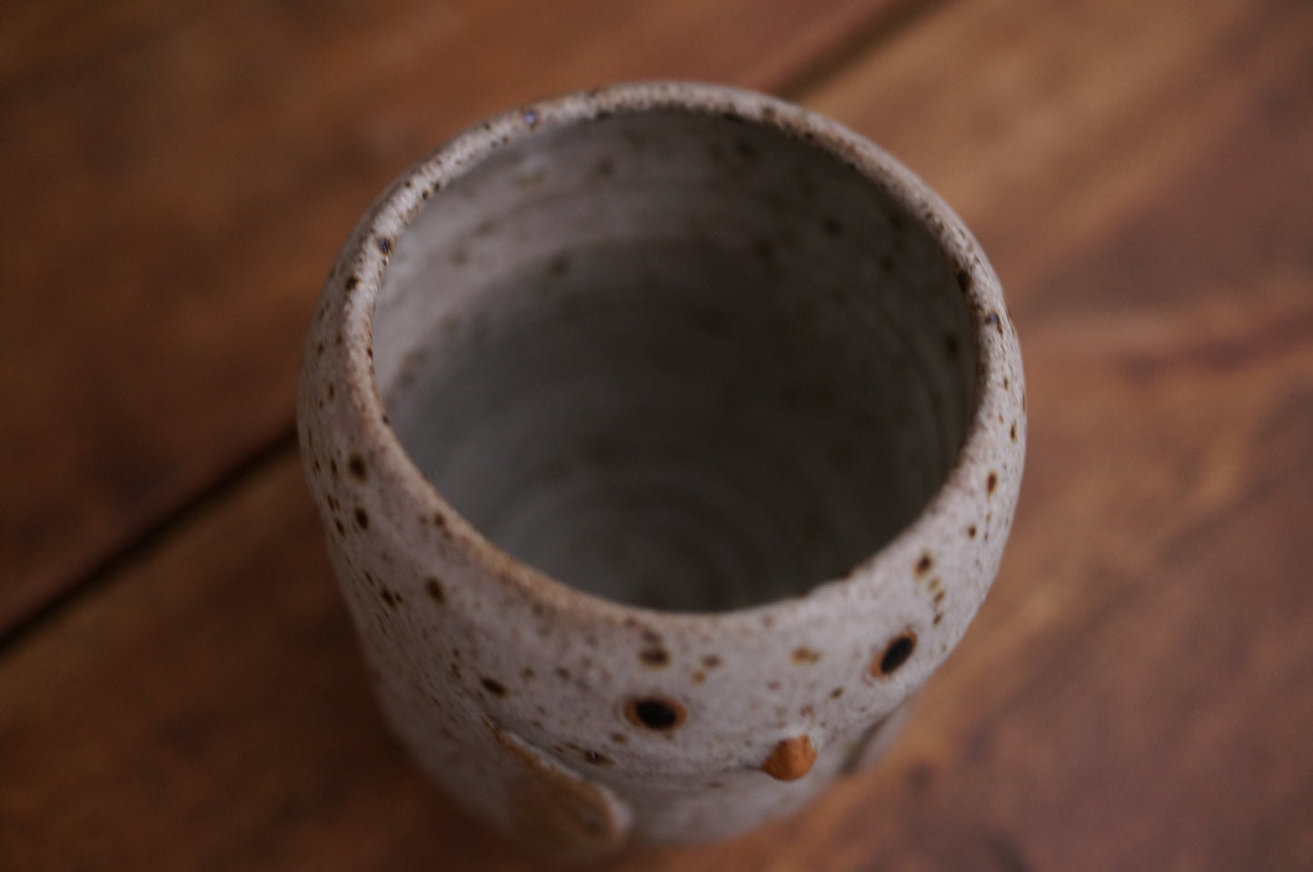 Snowy Owl Cup