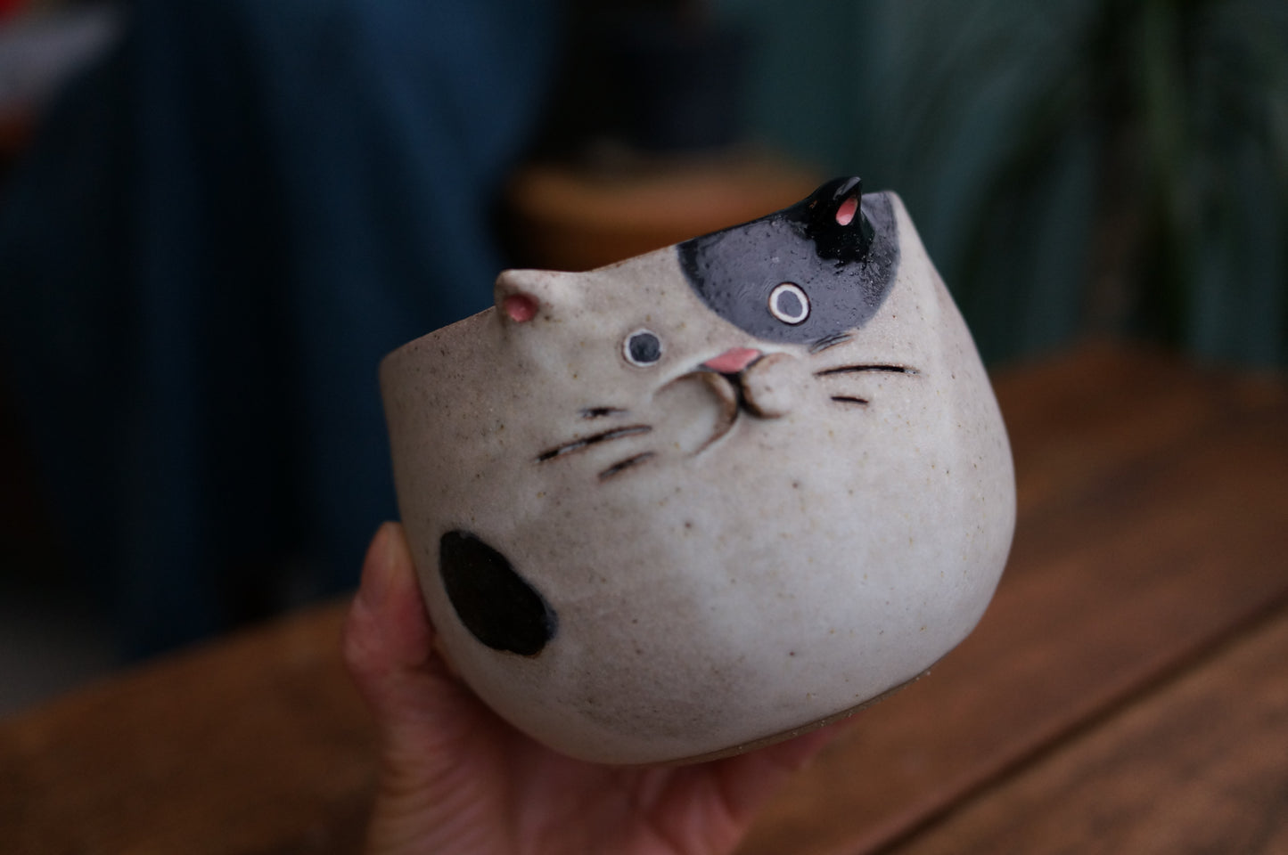 Cat Bowl