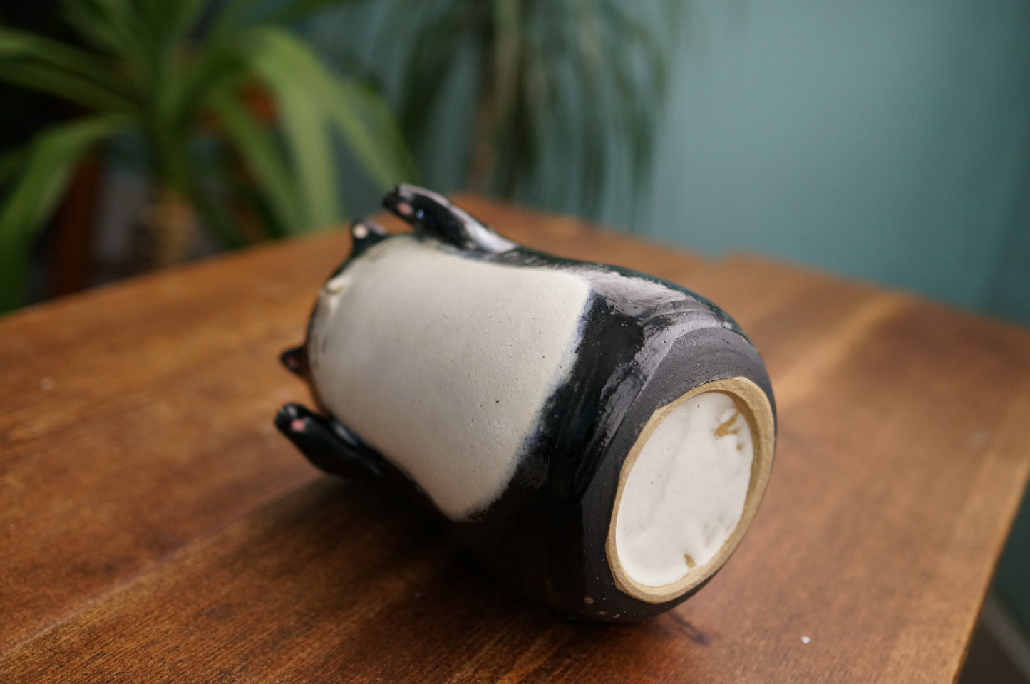 Black Cat Vase