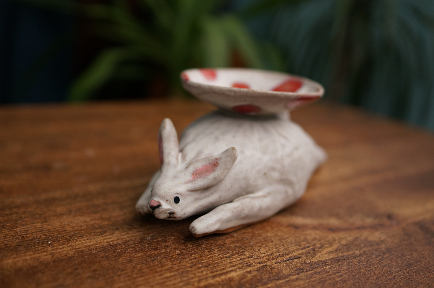 Rabbit Holder