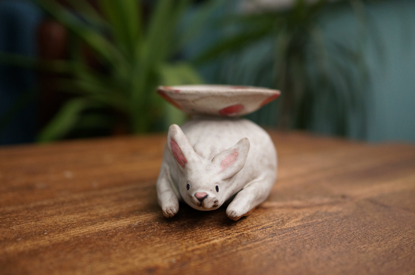 Rabbit Holder