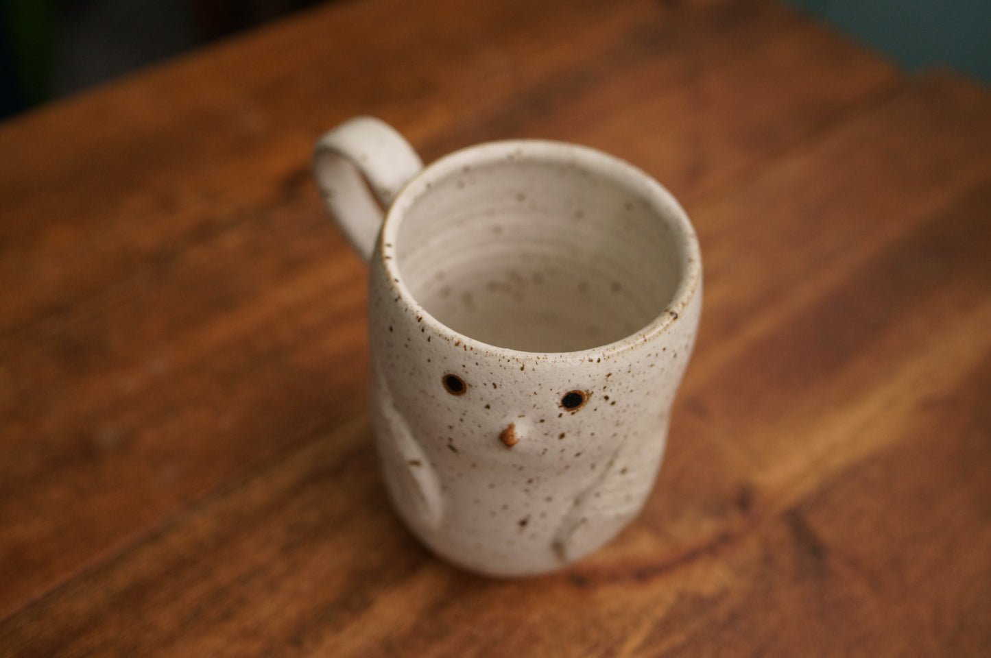 Snowy Owl Mug