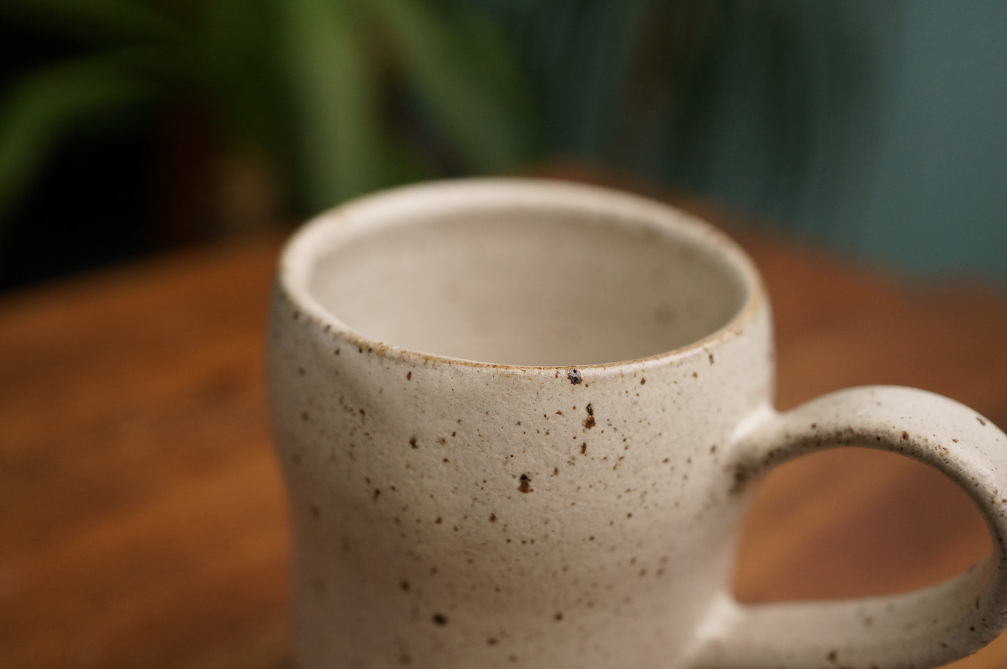 Snowy Owl Mug