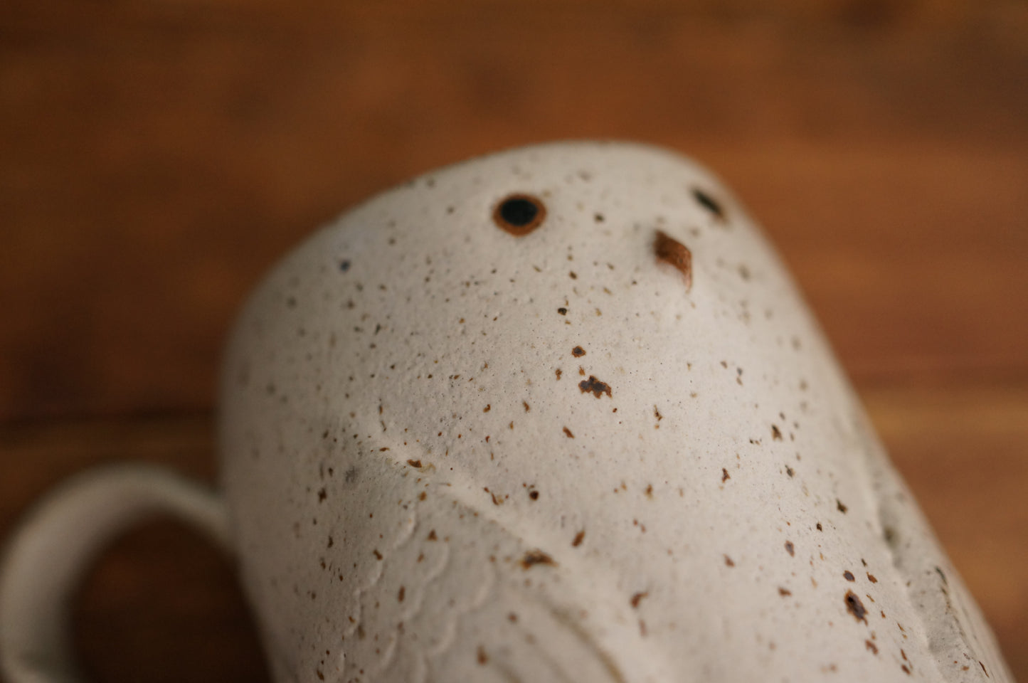 Snowy Owl Mug