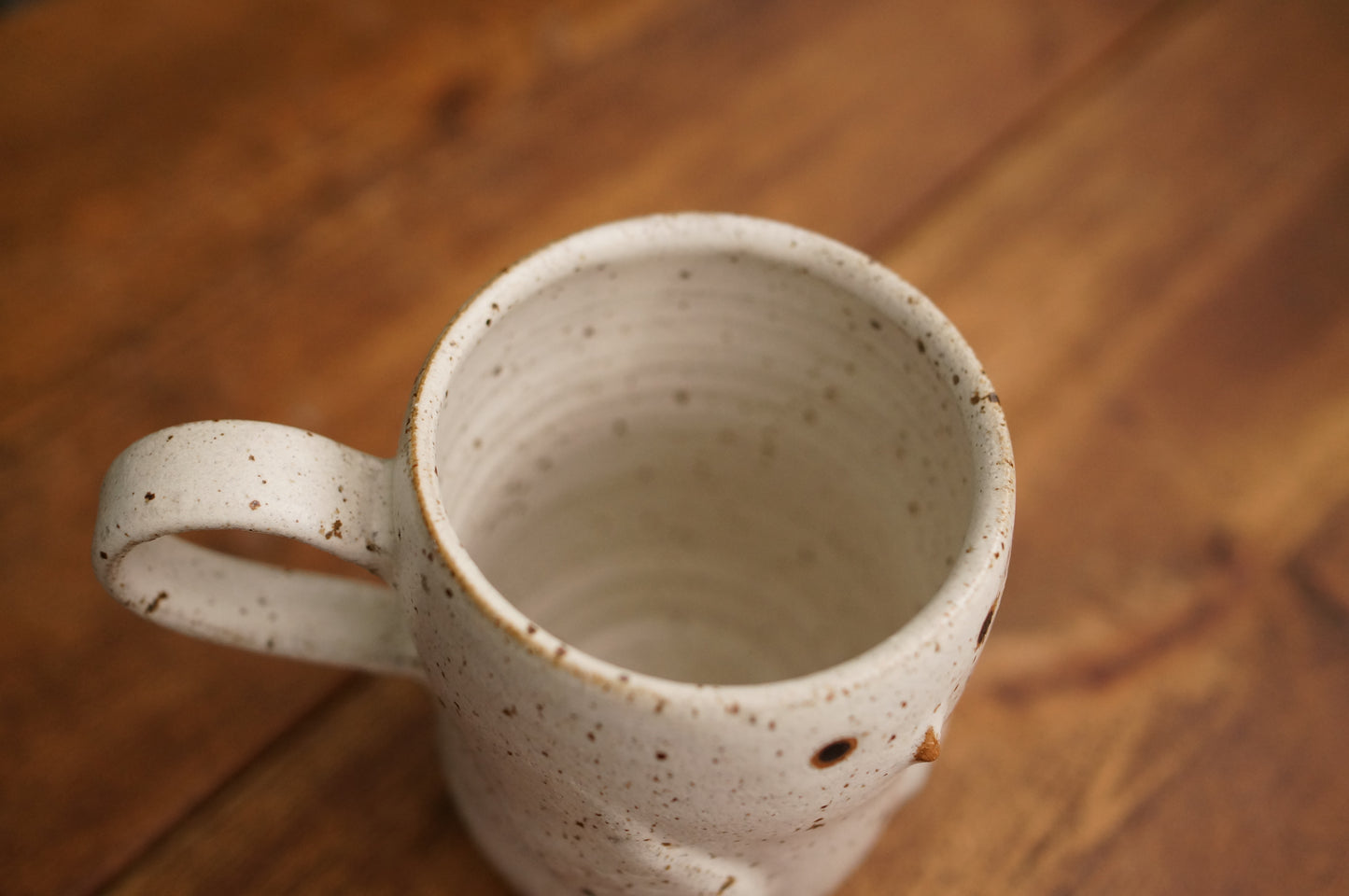 Snowy Owl Mug