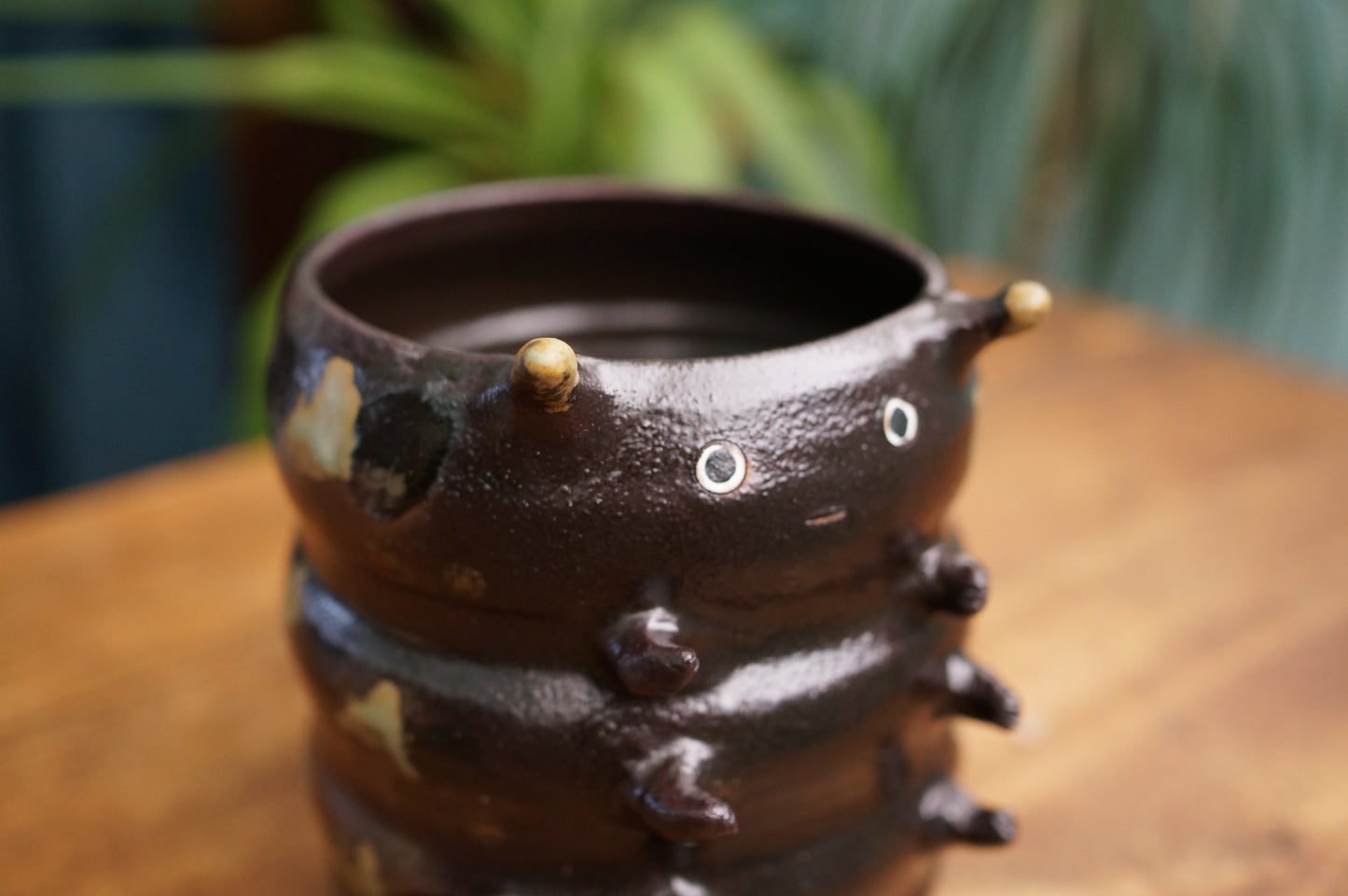 Black Caterpillar Mug