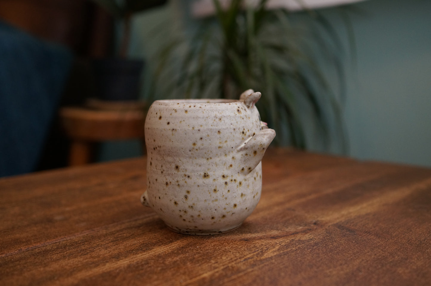 Rabbit Cup
