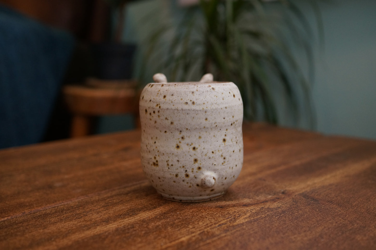 Rabbit Cup
