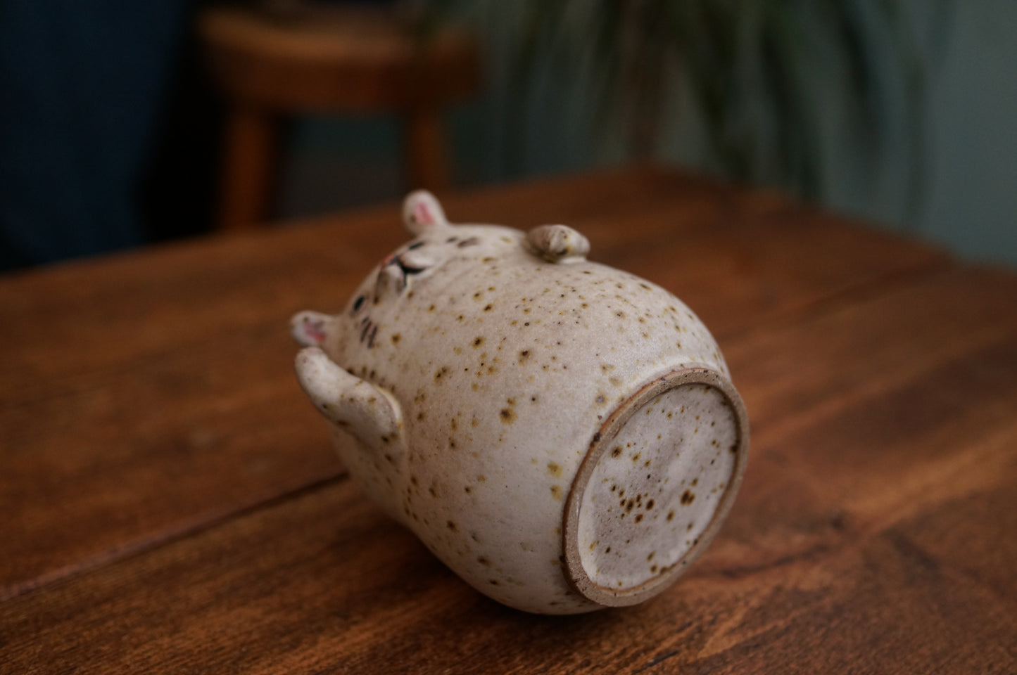 Rabbit Cup