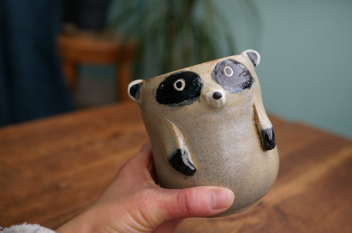 Raccoon Cup