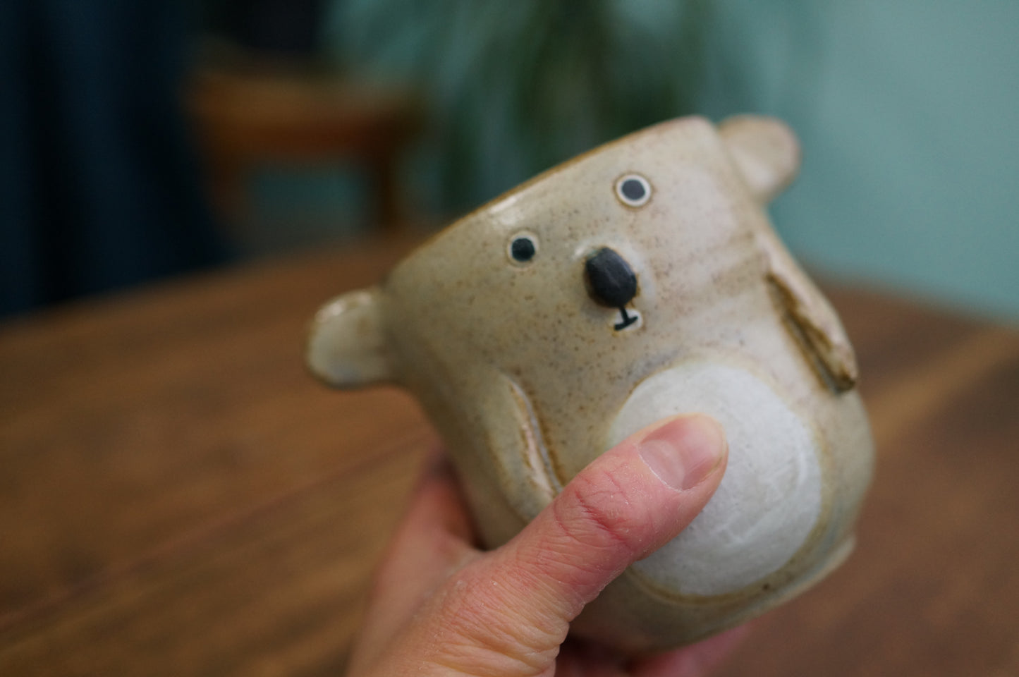 Koala Cup