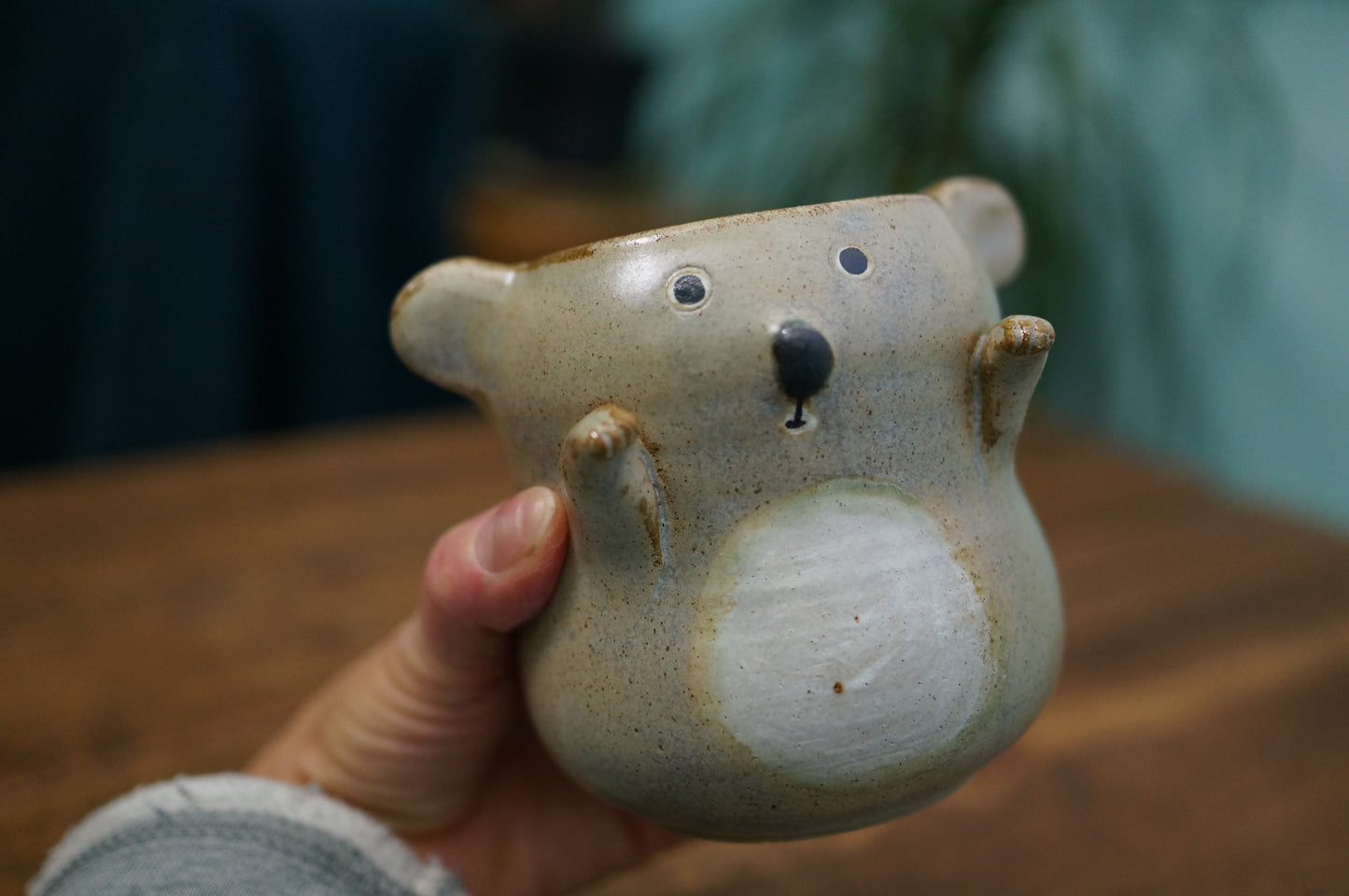 Koala Cup