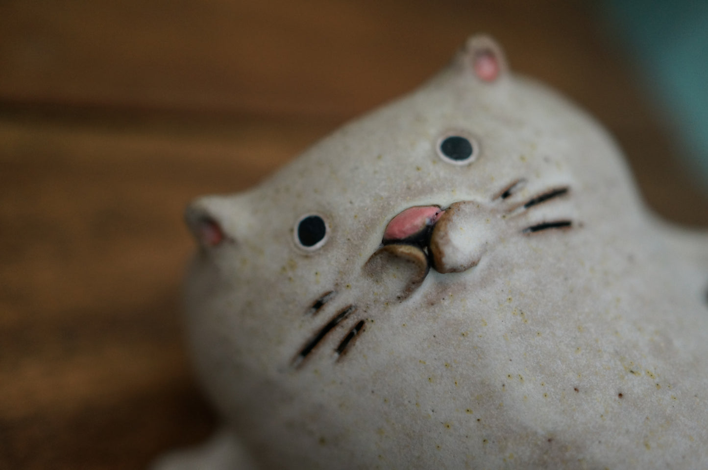 Cat Cup