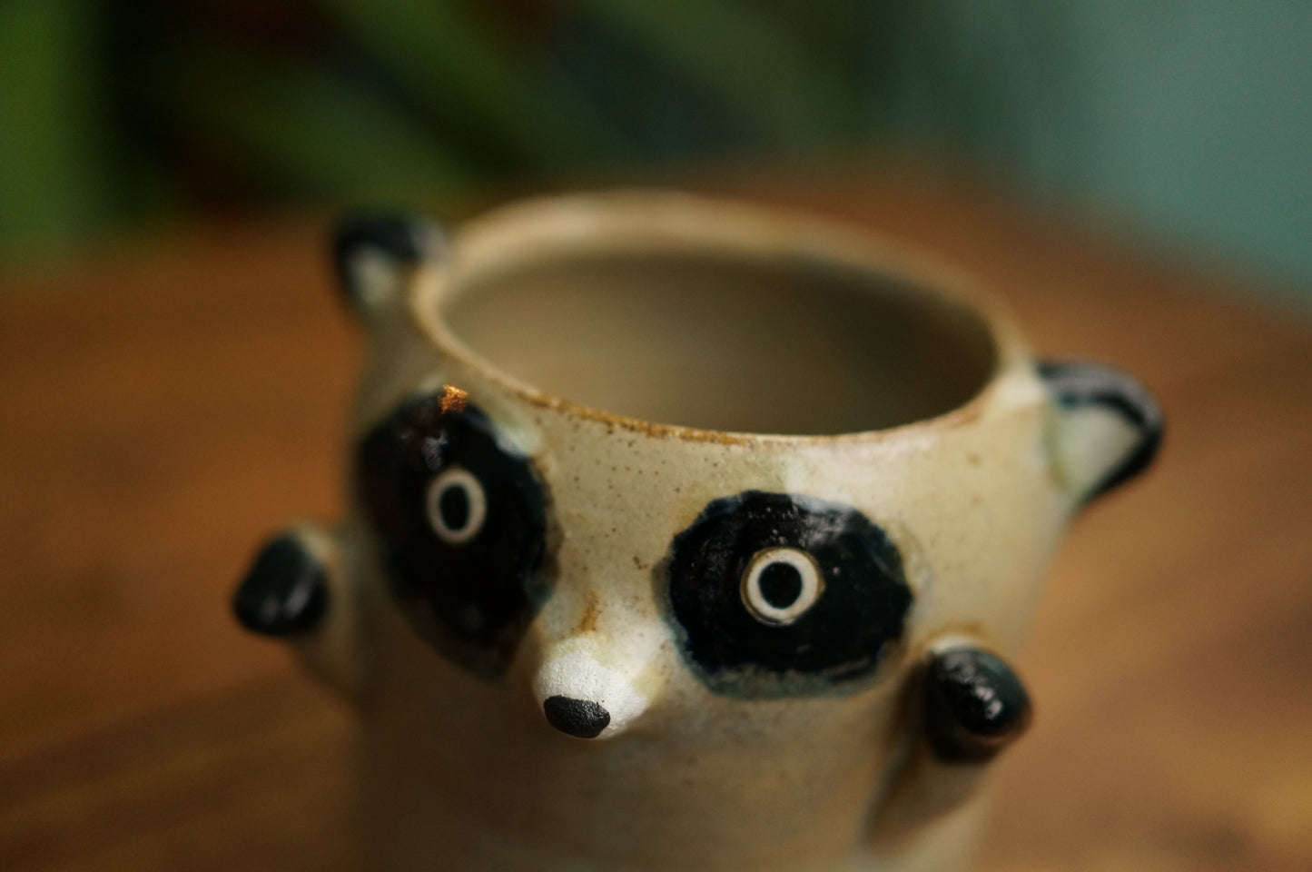 Raccoon Cup