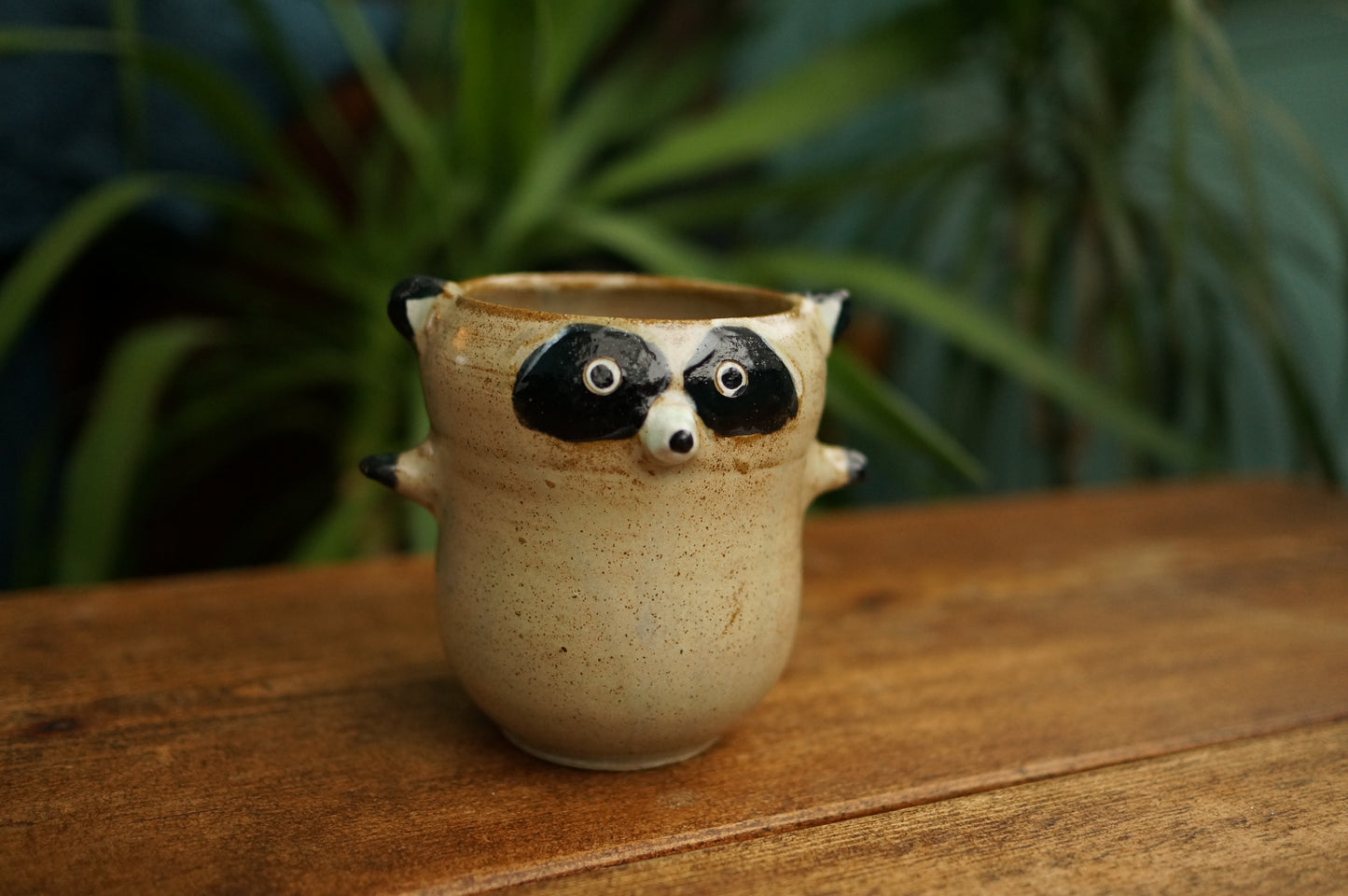 Raccoon Cup