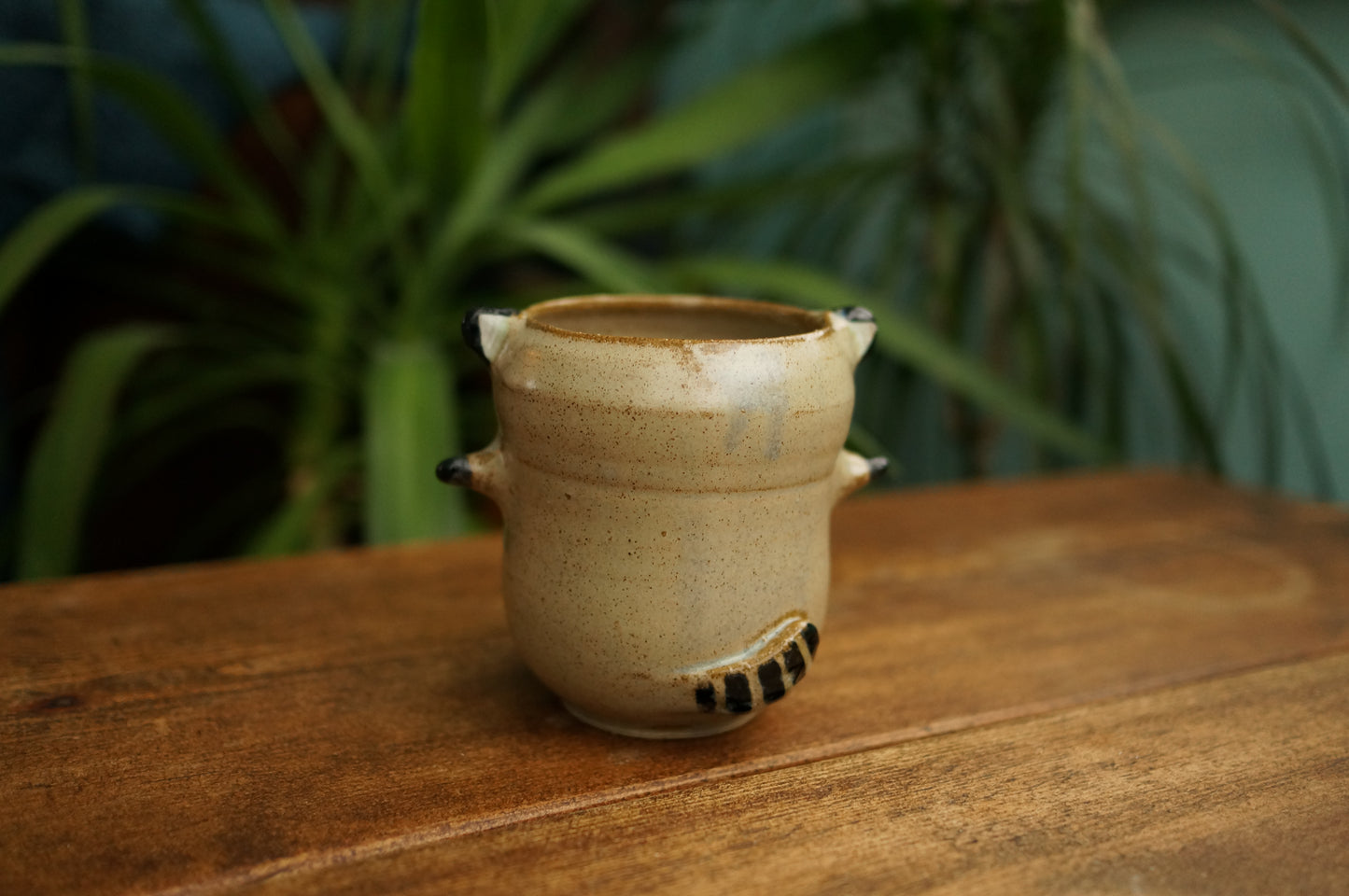 Raccoon Cup