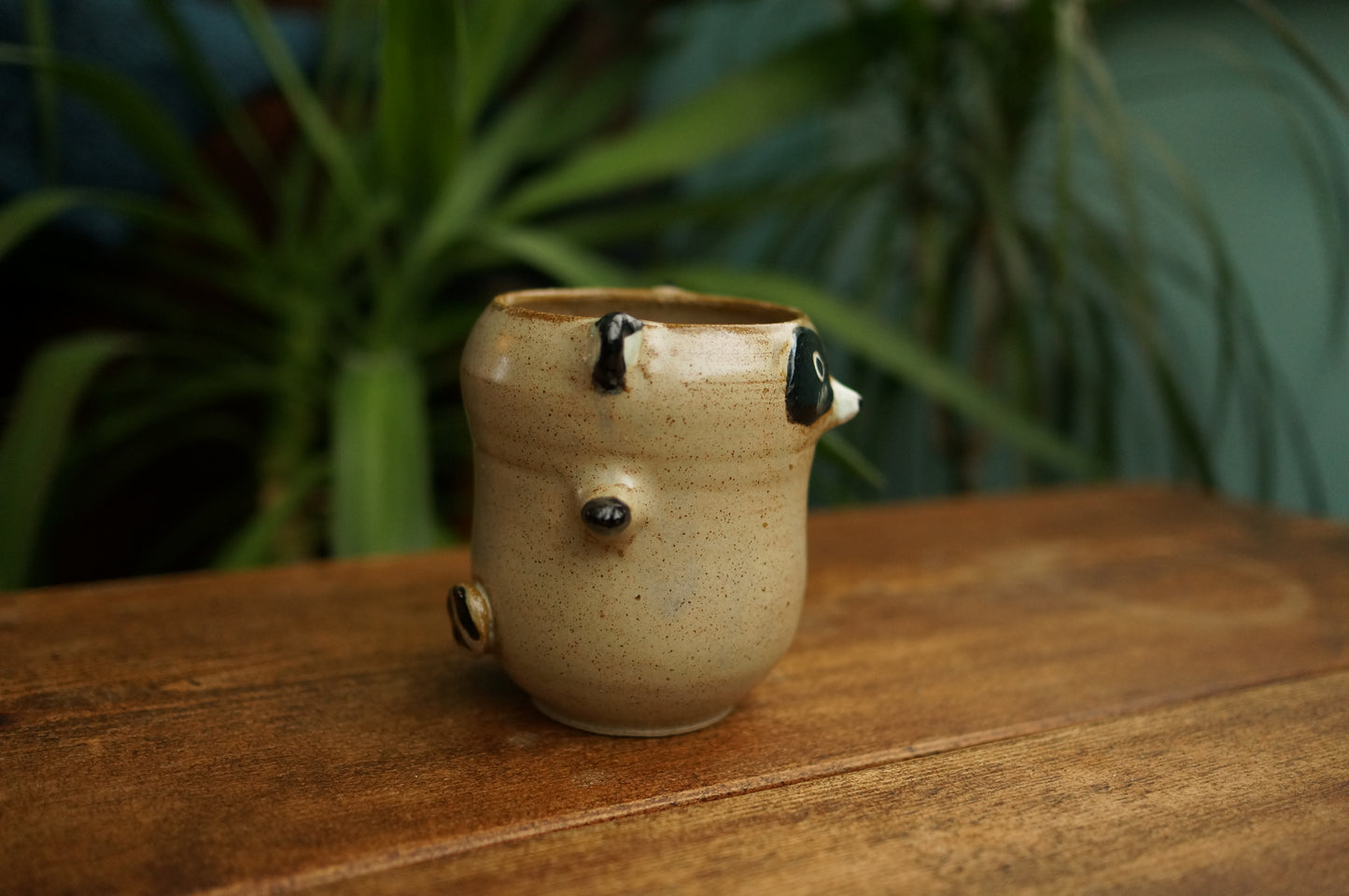 Raccoon Cup