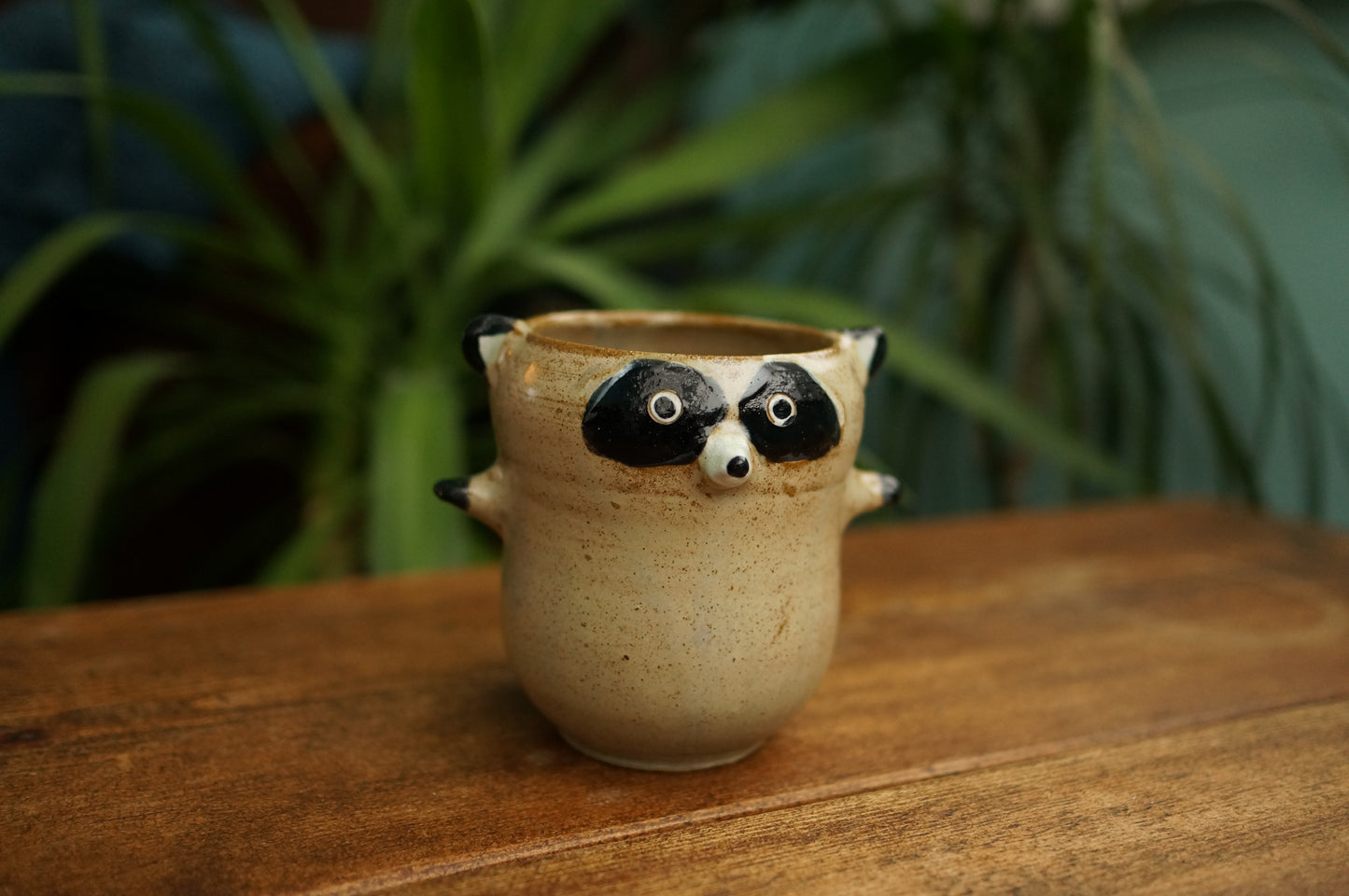Raccoon Cup