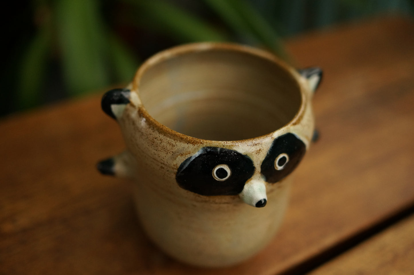 Raccoon Cup