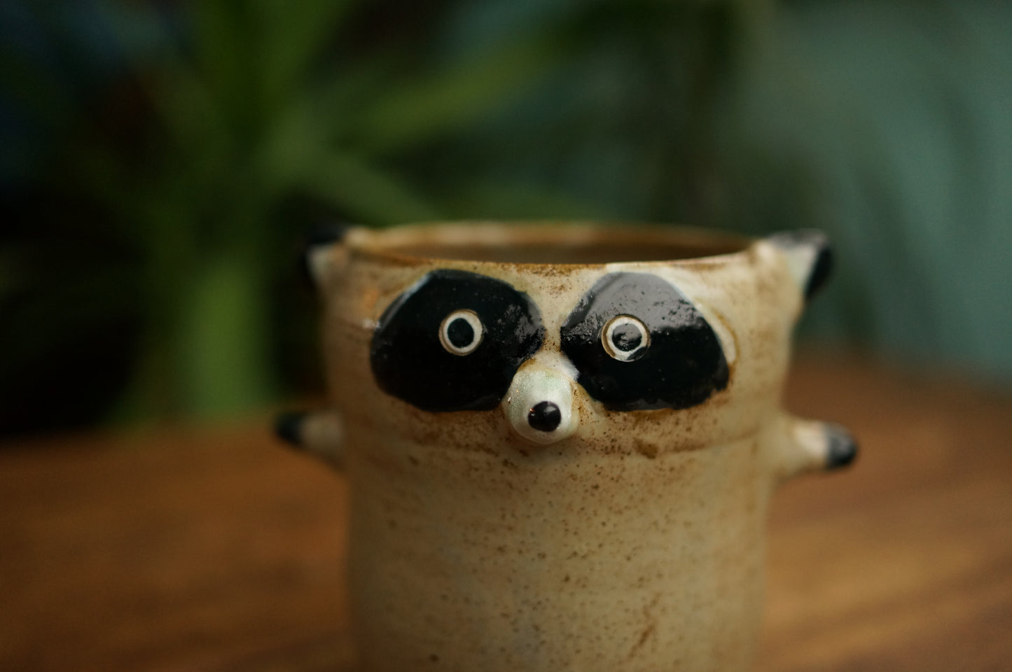 Raccoon Cup