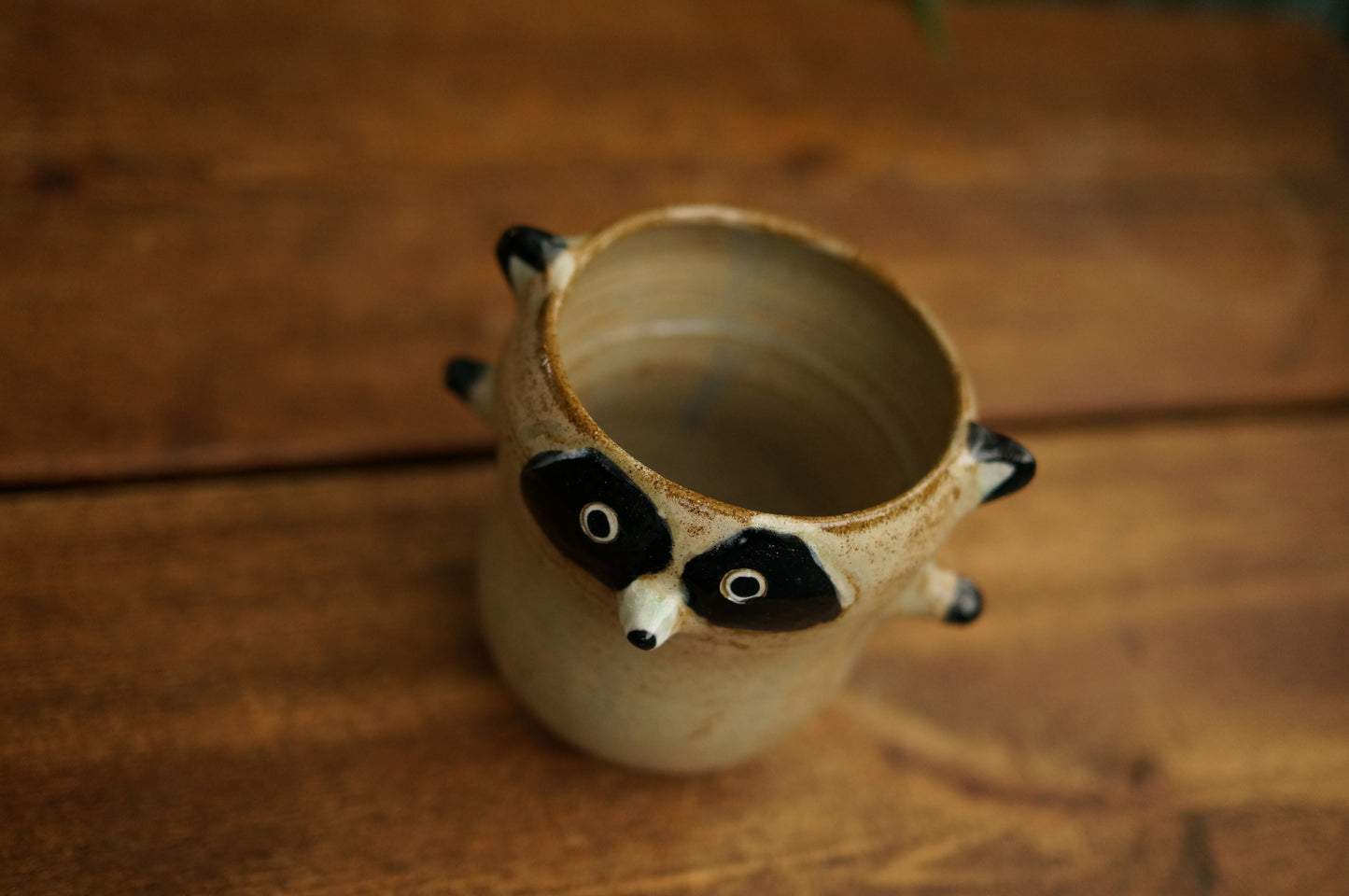 Raccoon Cup