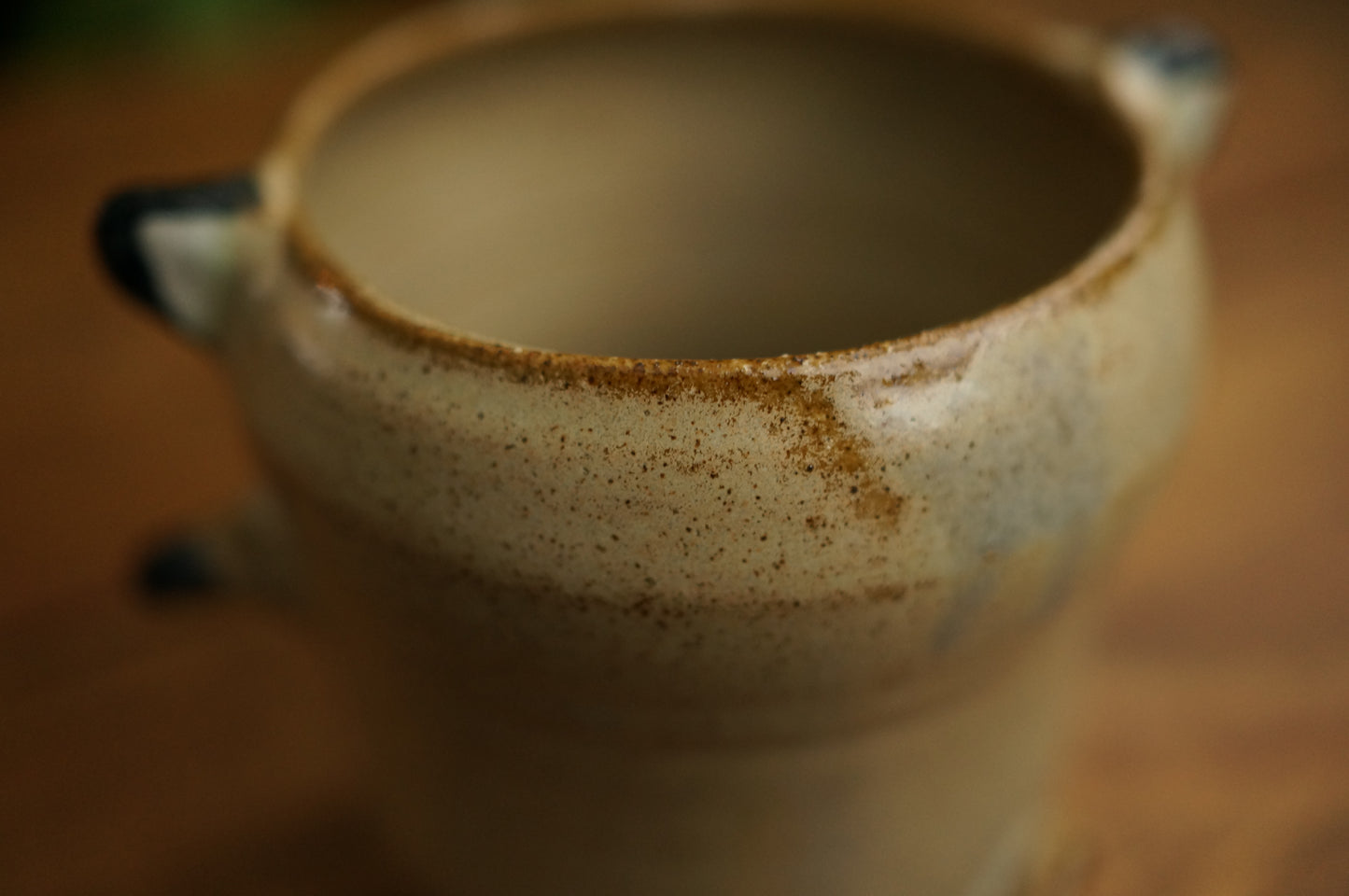 Raccoon Cup