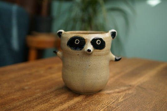 Raccoon Cup