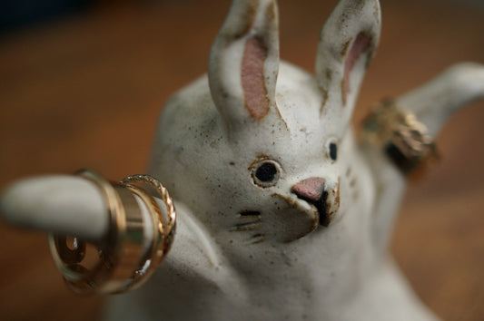 Rabbit Accessories Holder