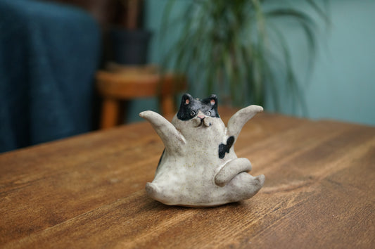 Cat Accessories Holder
