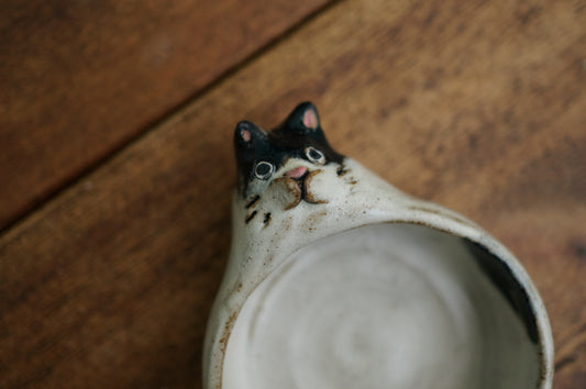 Cat Holder