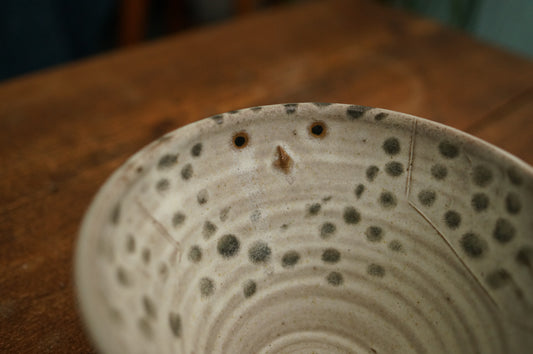 Snowy Owl Bowl
