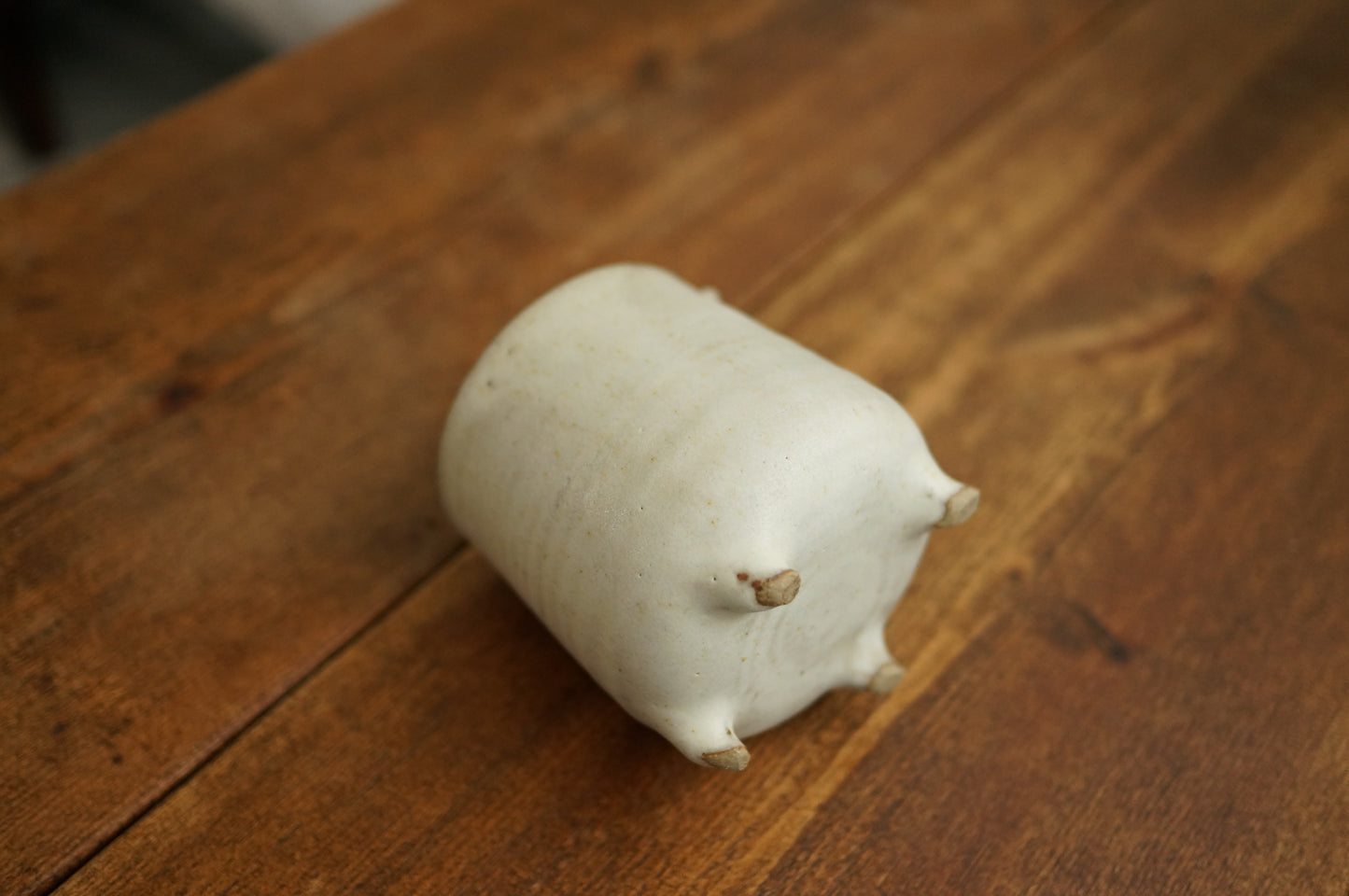 Four Legs Bear Cup
