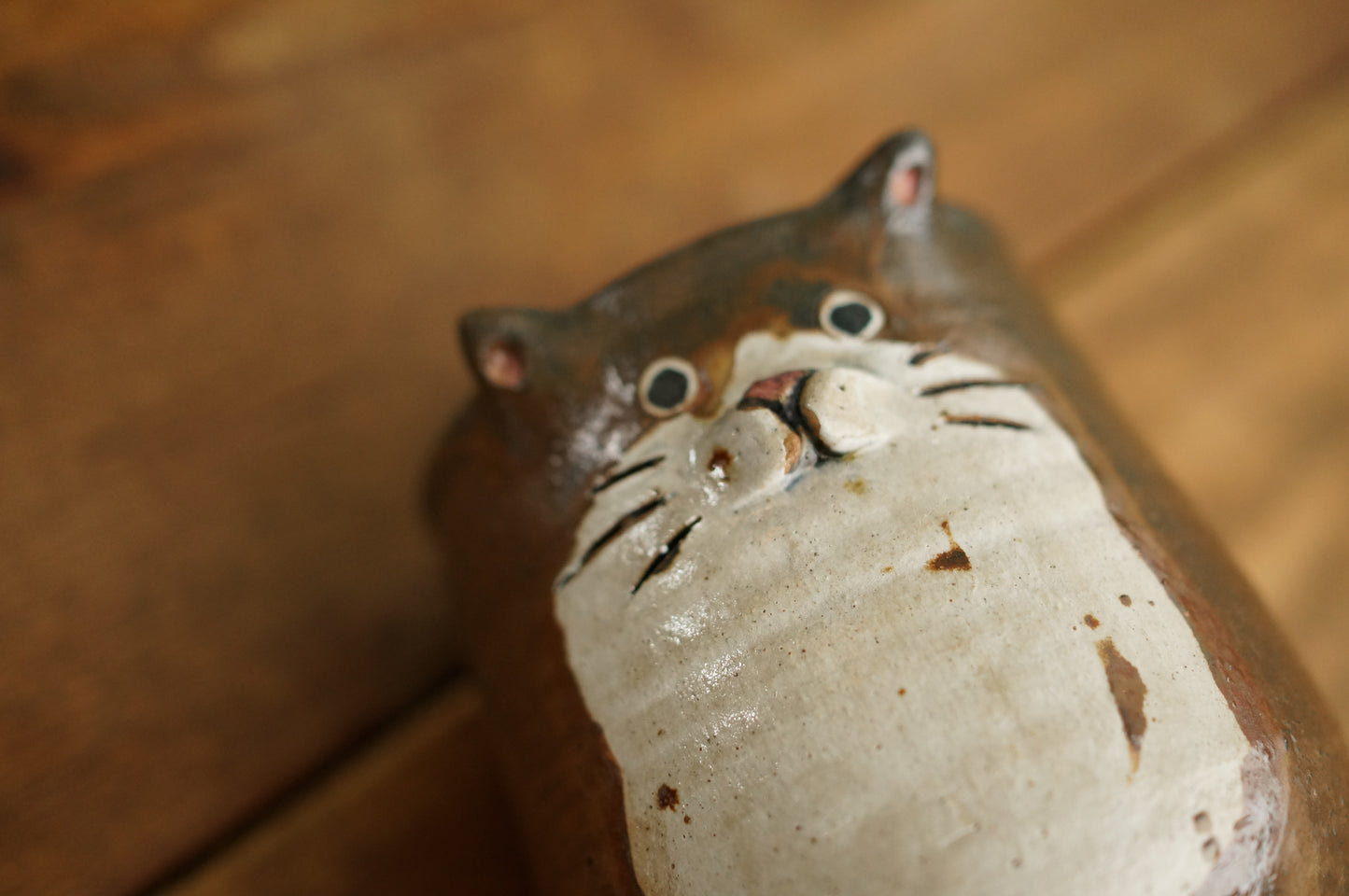 Four Legs Cat Cup