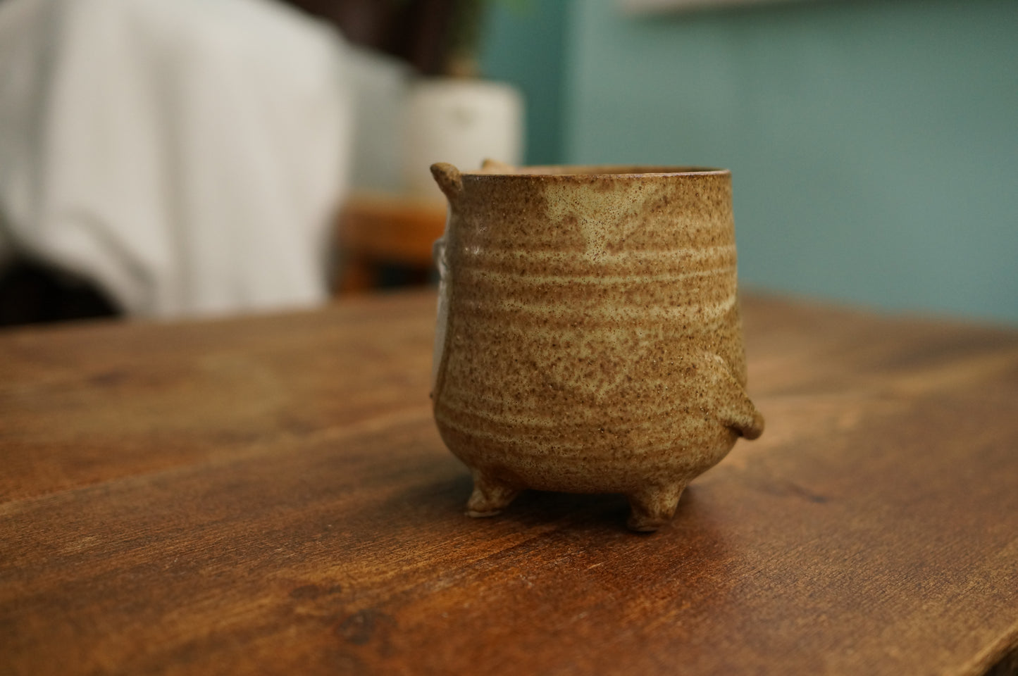 Four Legs Cat Cup