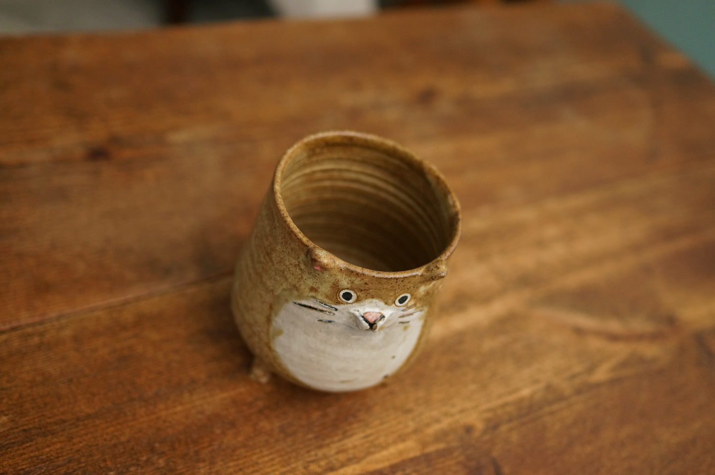 Four Legs Cat Cup