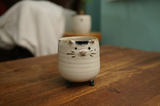 Four Legs Cat Cup