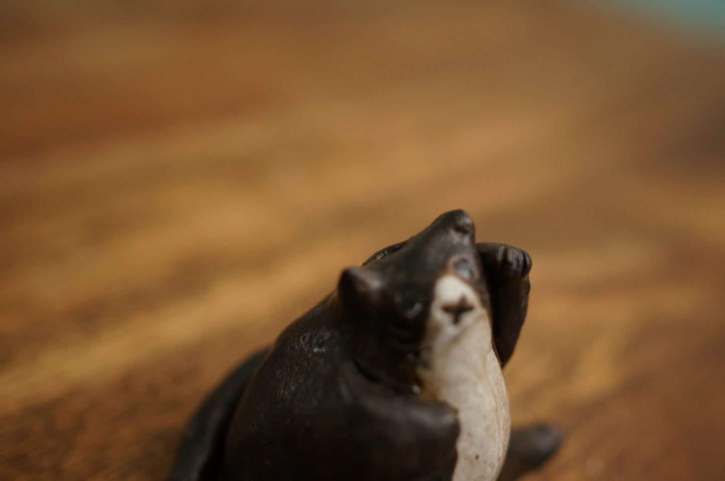 Mini Cat Vase
