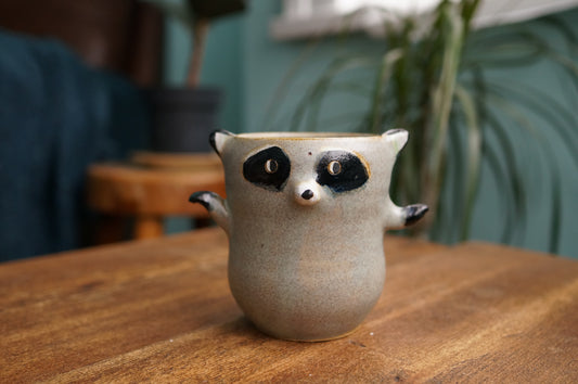 Raccoon Cup