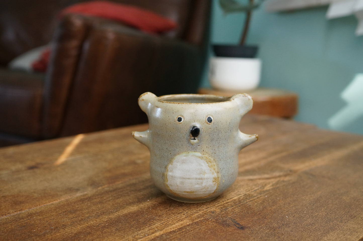 Koala Cup