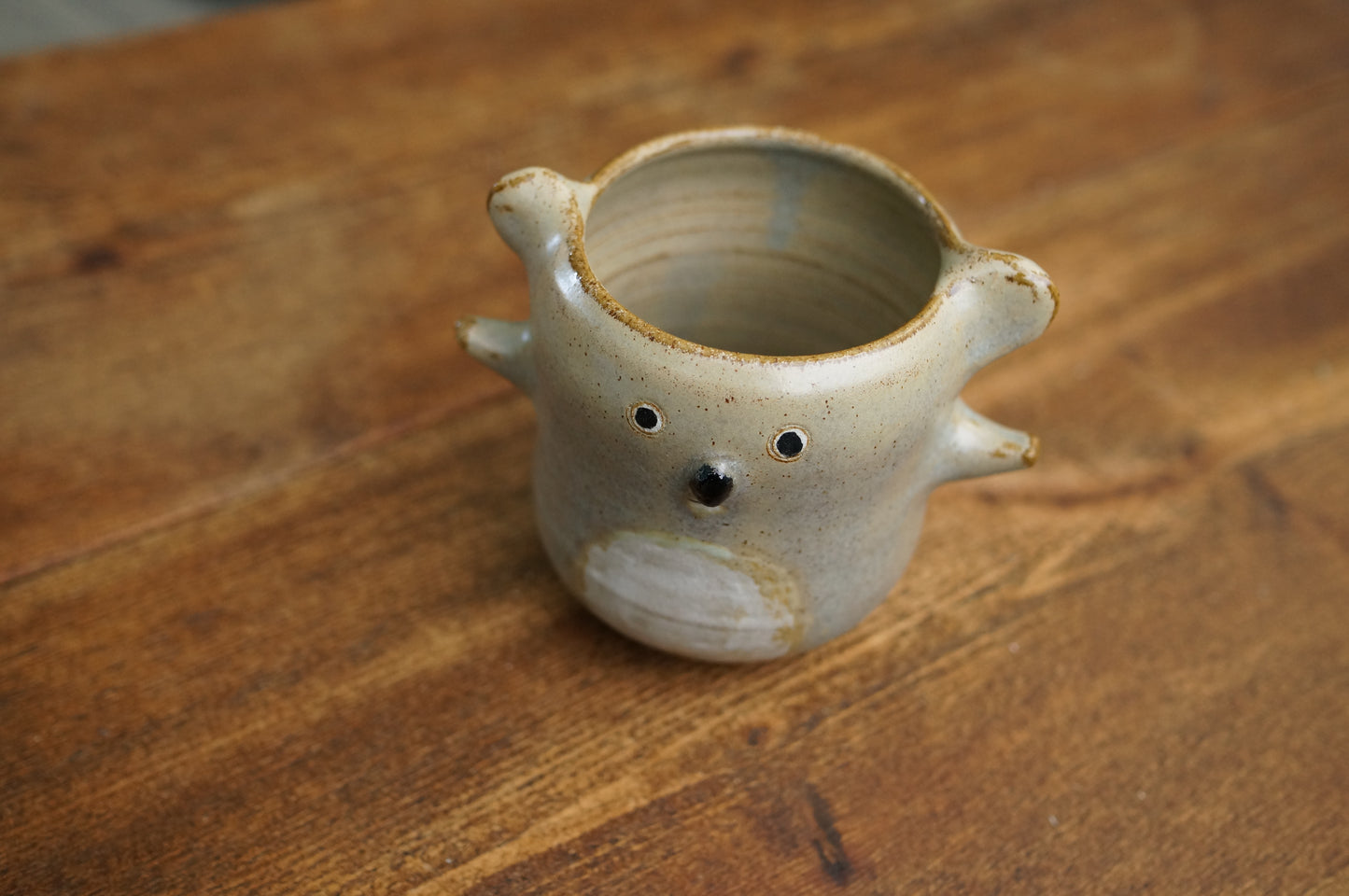 Koala Cup