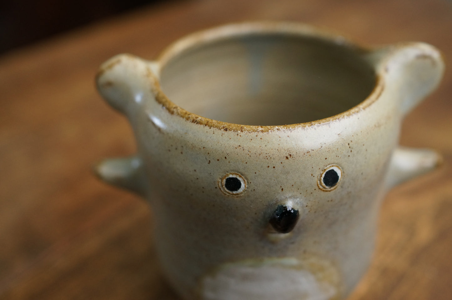Koala Cup