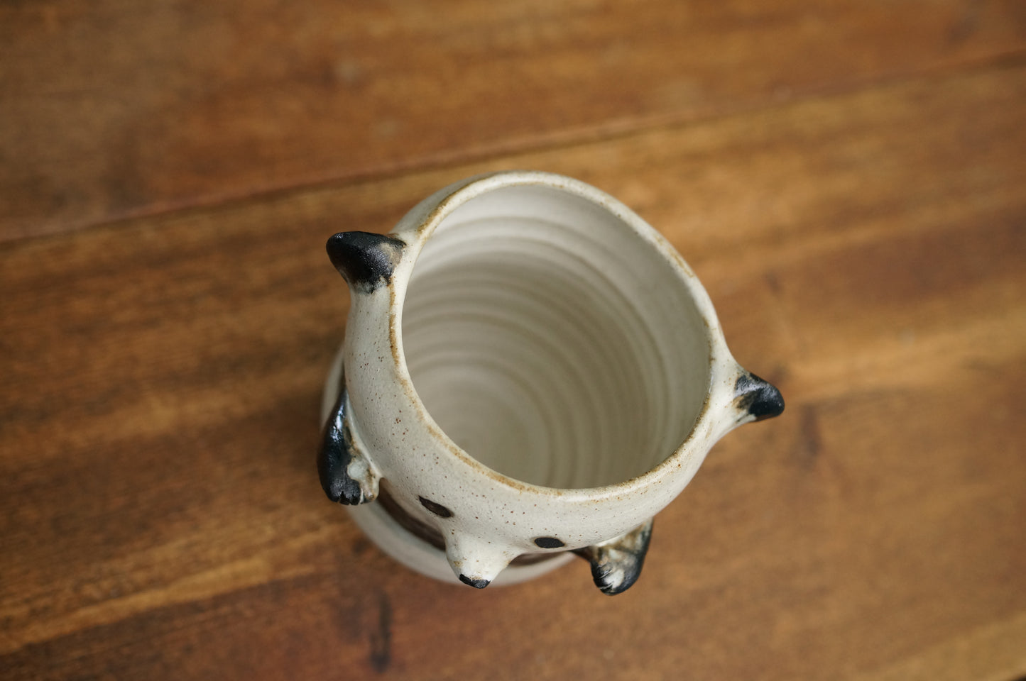 Panda Cup