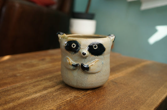 Raccoon Cup