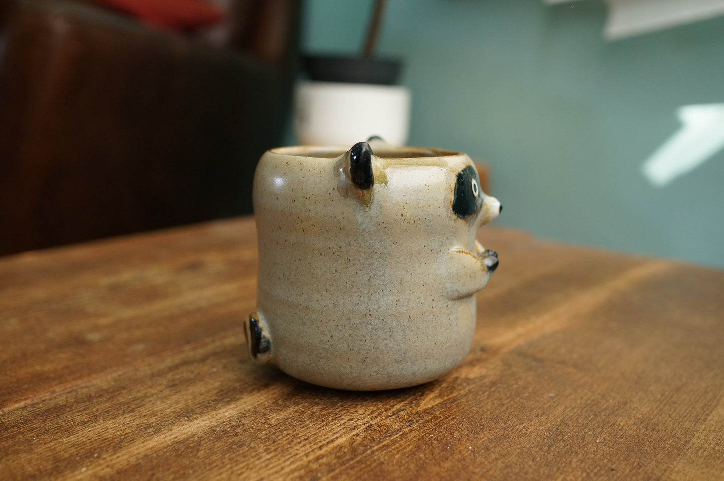 Raccoon Cup