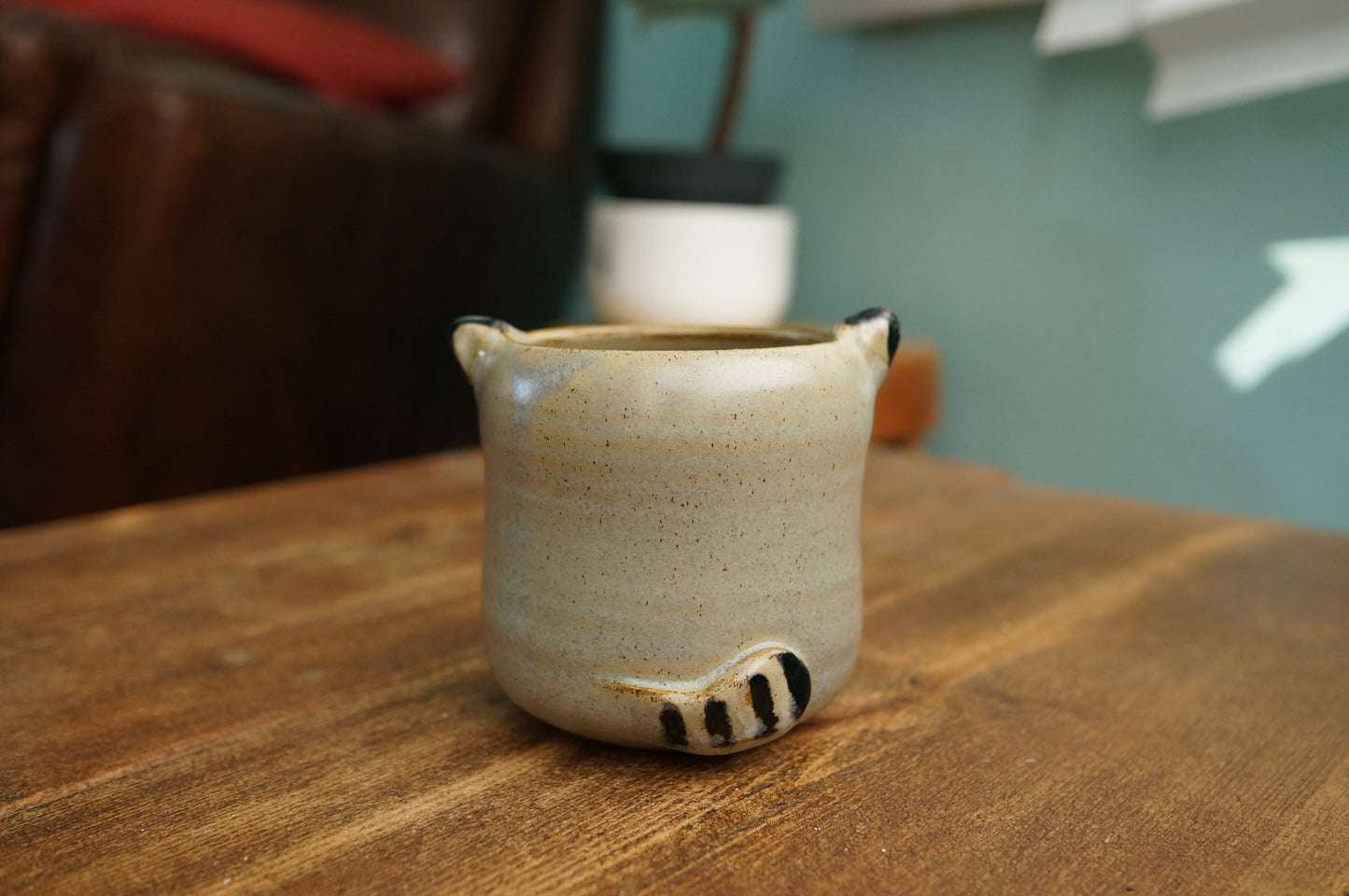 Raccoon Cup