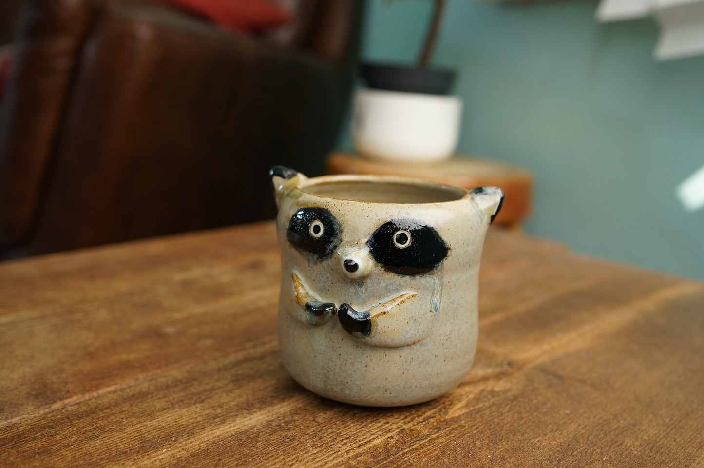 Raccoon Cup