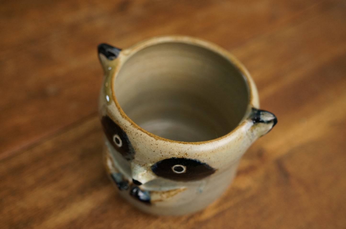 Raccoon Cup