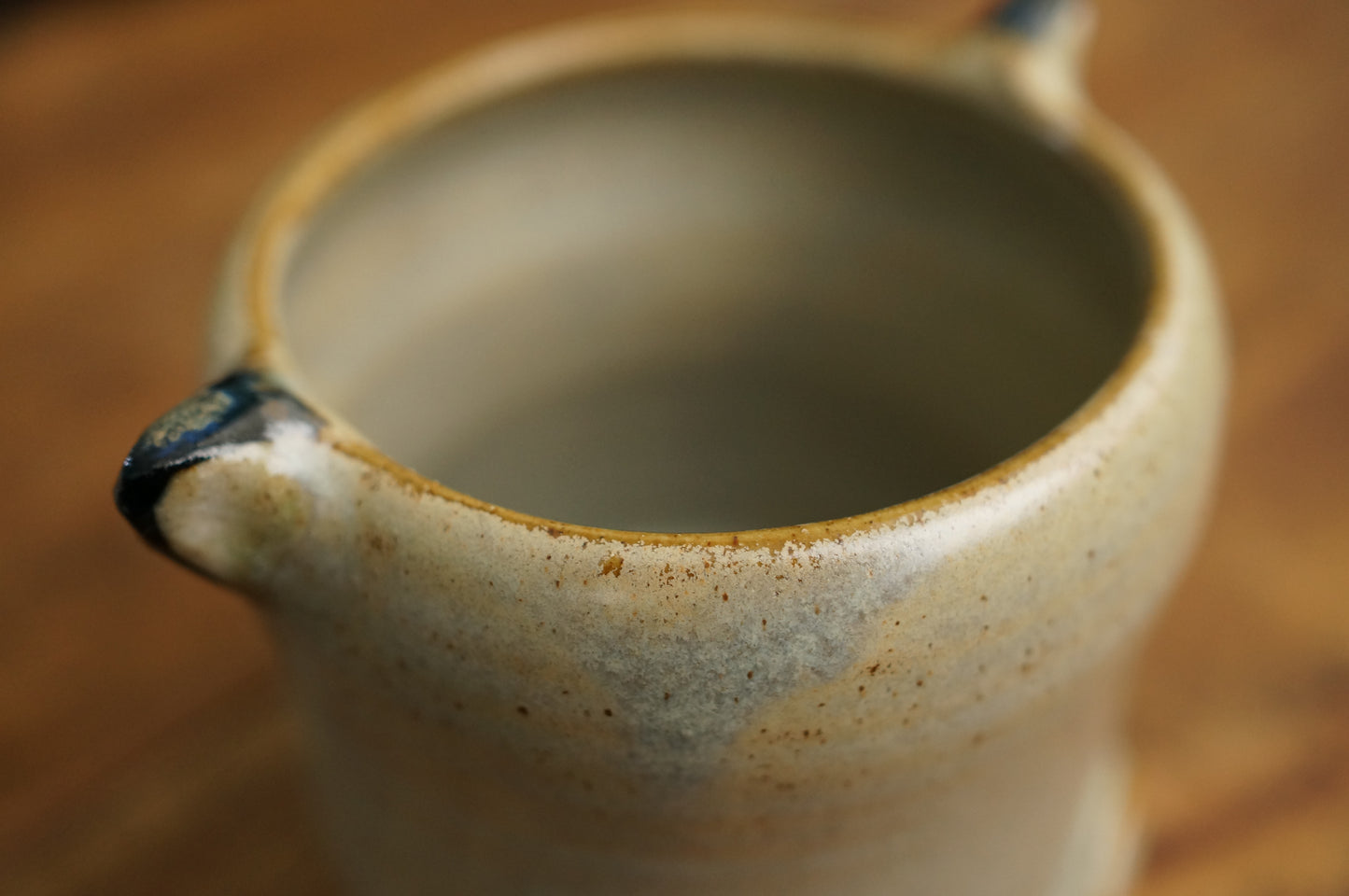 Raccoon Cup