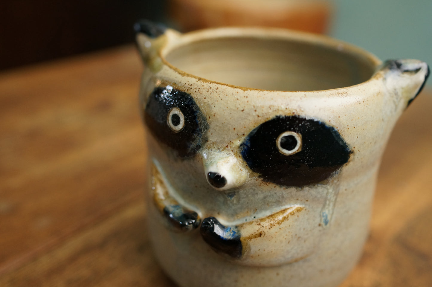 Raccoon Cup